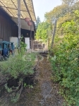 Dunabogdány Nyaraló