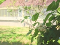 Zalaegerszeg Családi ház