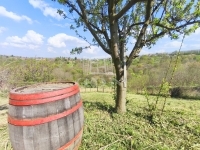 Zalaegerszeg Nyaraló