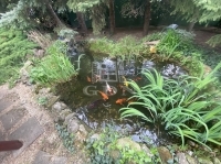 Budapest XXII. kerület Családi ház