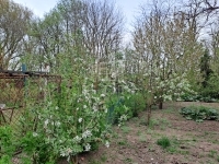 Hévízgyörk Családi ház