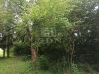 For sale building lot Nagykutas, 1406m2